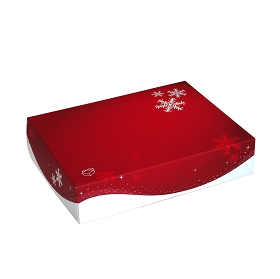 14055-Coffret de noel