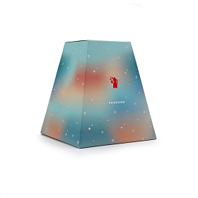 14129-Boite pandoro artisanal